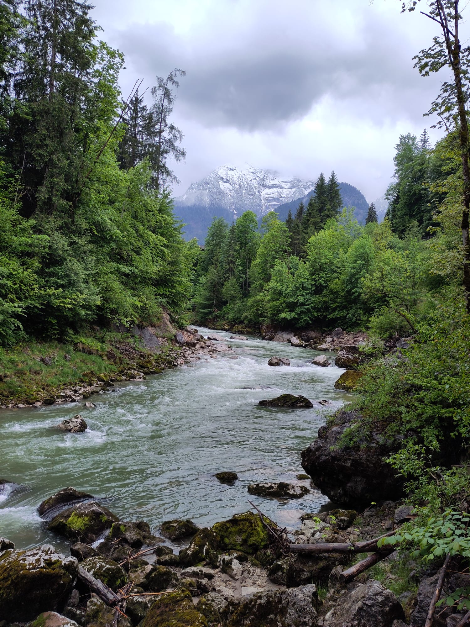 IMG-20260517-WA0001