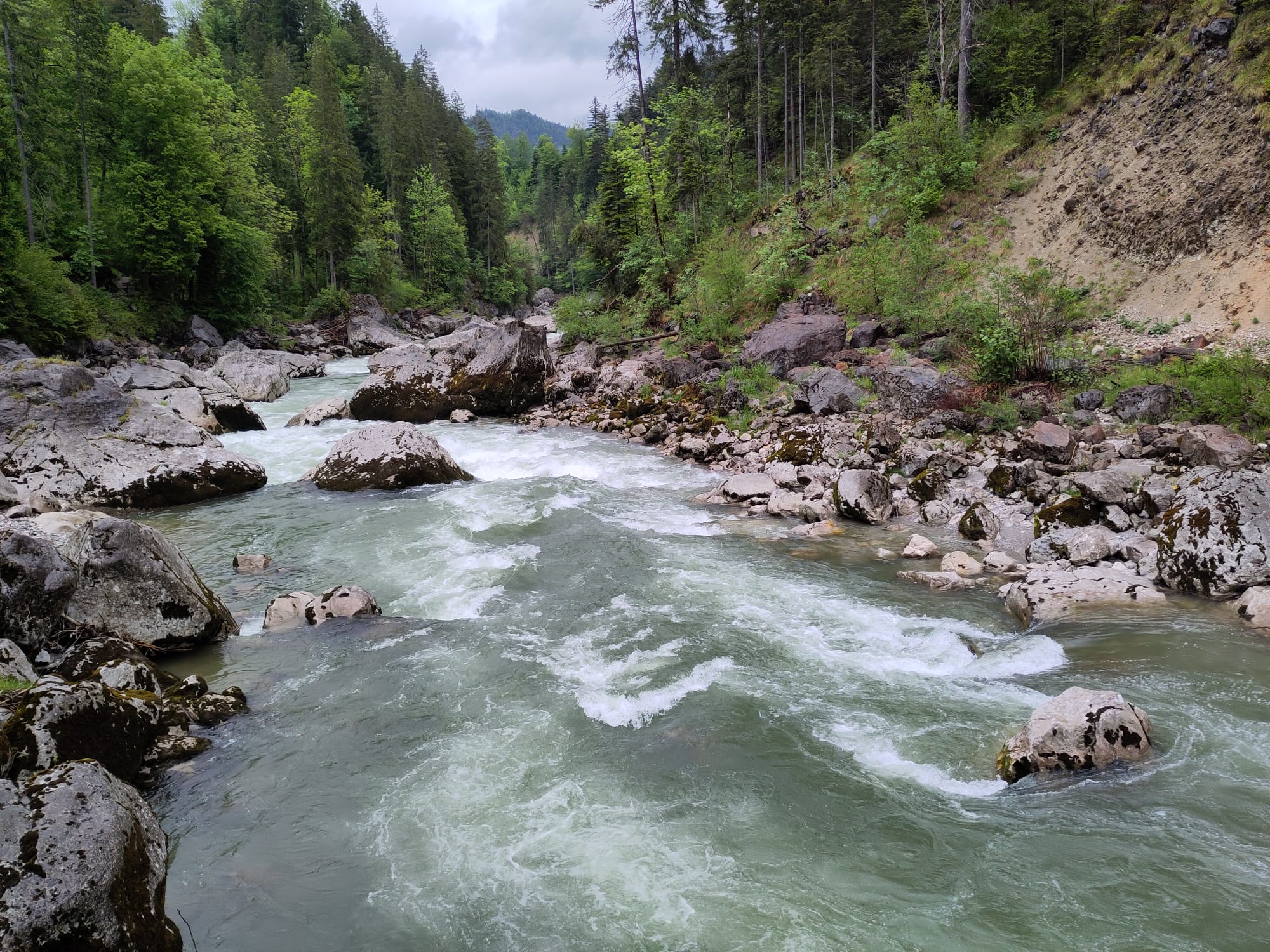 IMG-20260517-WA0003