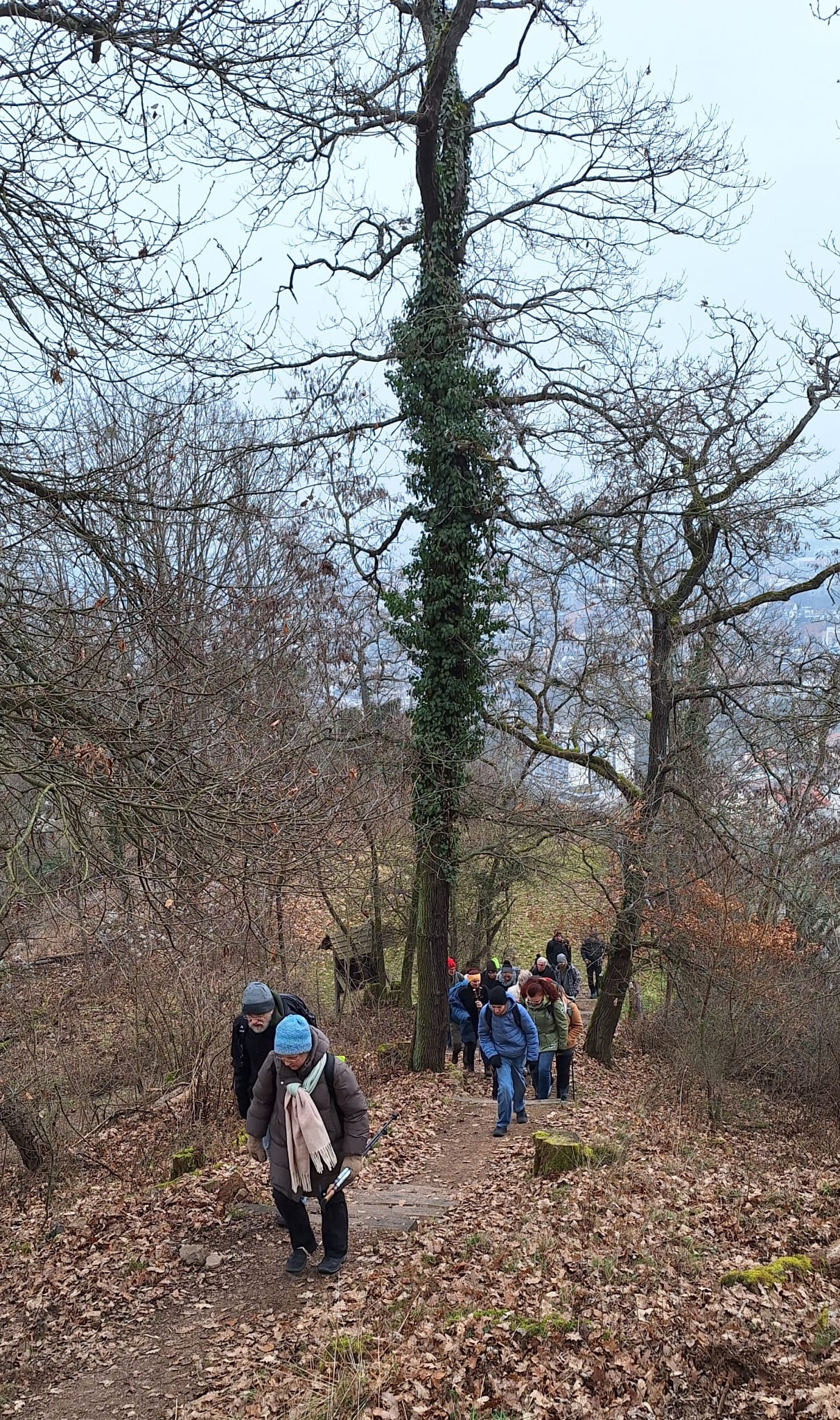 WhatsApp Image 2026-01-25 at 17.34.16