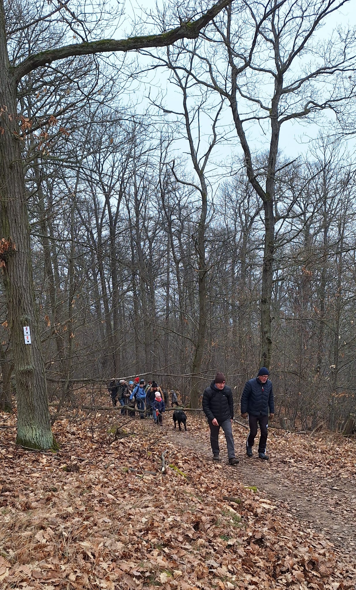 WhatsApp Image 2026-01-25 at 17.34.17 1