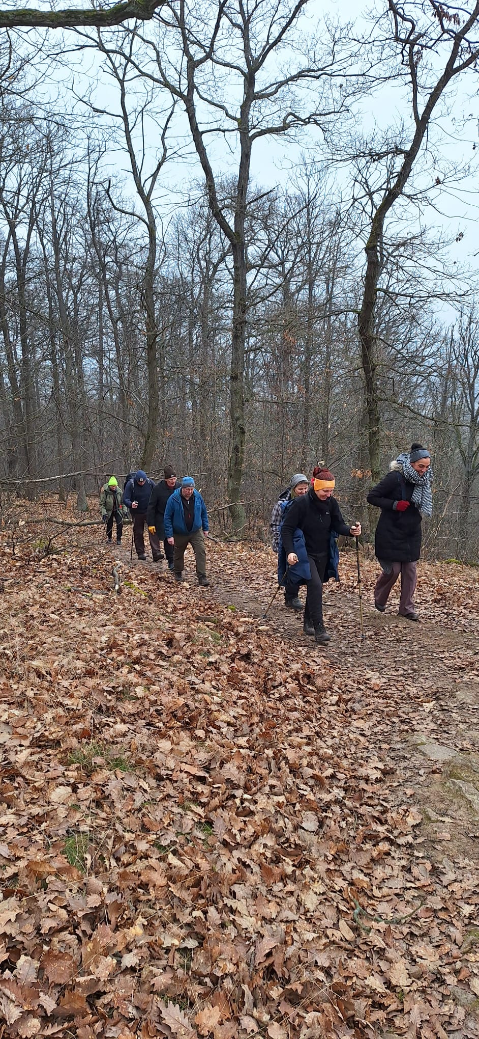 WhatsApp Image 2026-01-25 at 17.34.17 2