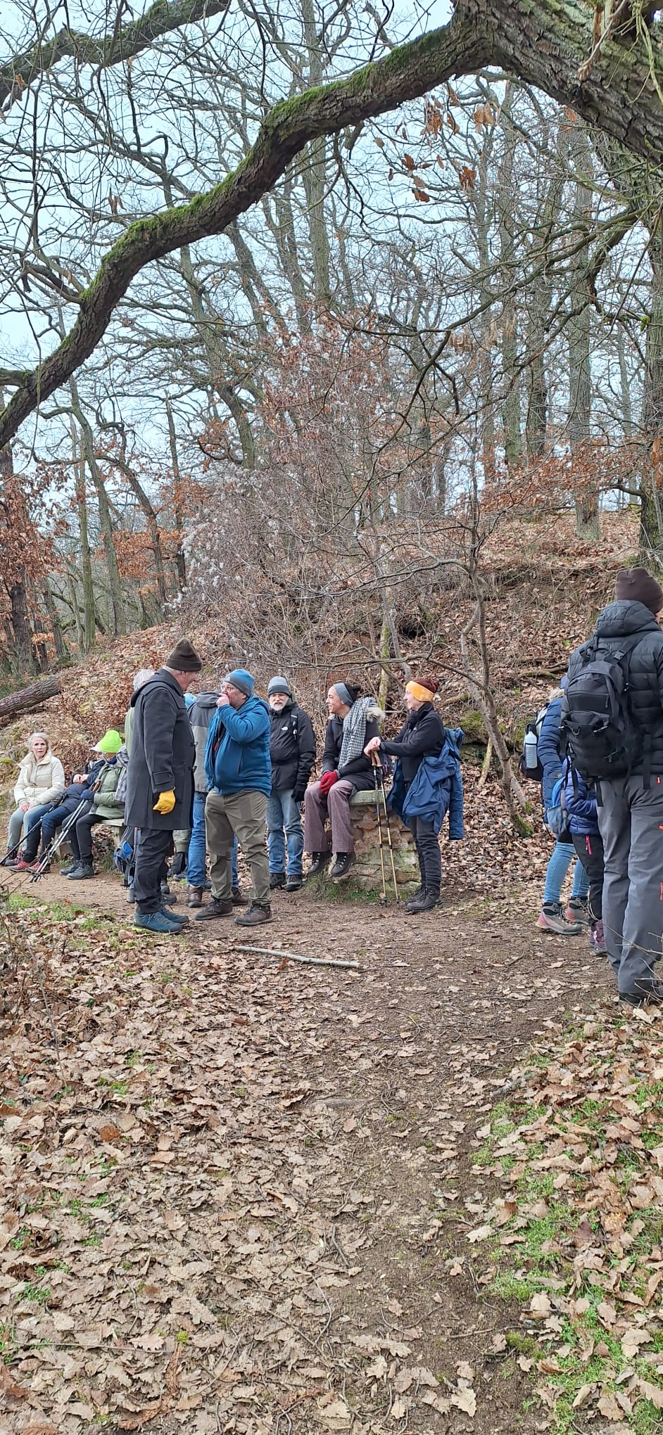 WhatsApp Image 2026-01-25 at 17.34.17